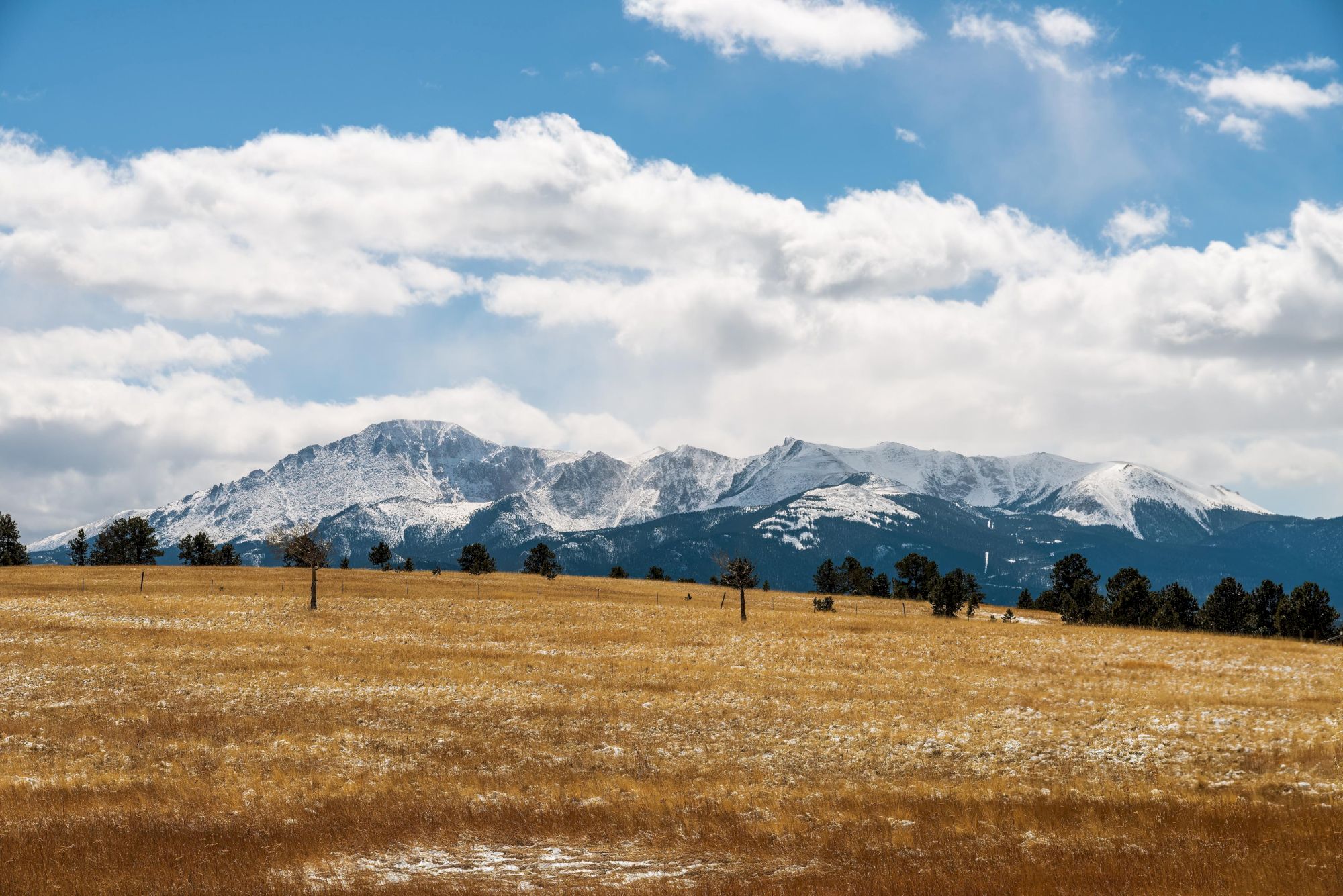 A scenic landscape with a snow-capped mountain, a grassy field, scattered trees, and a partly cloudy sky is shown.