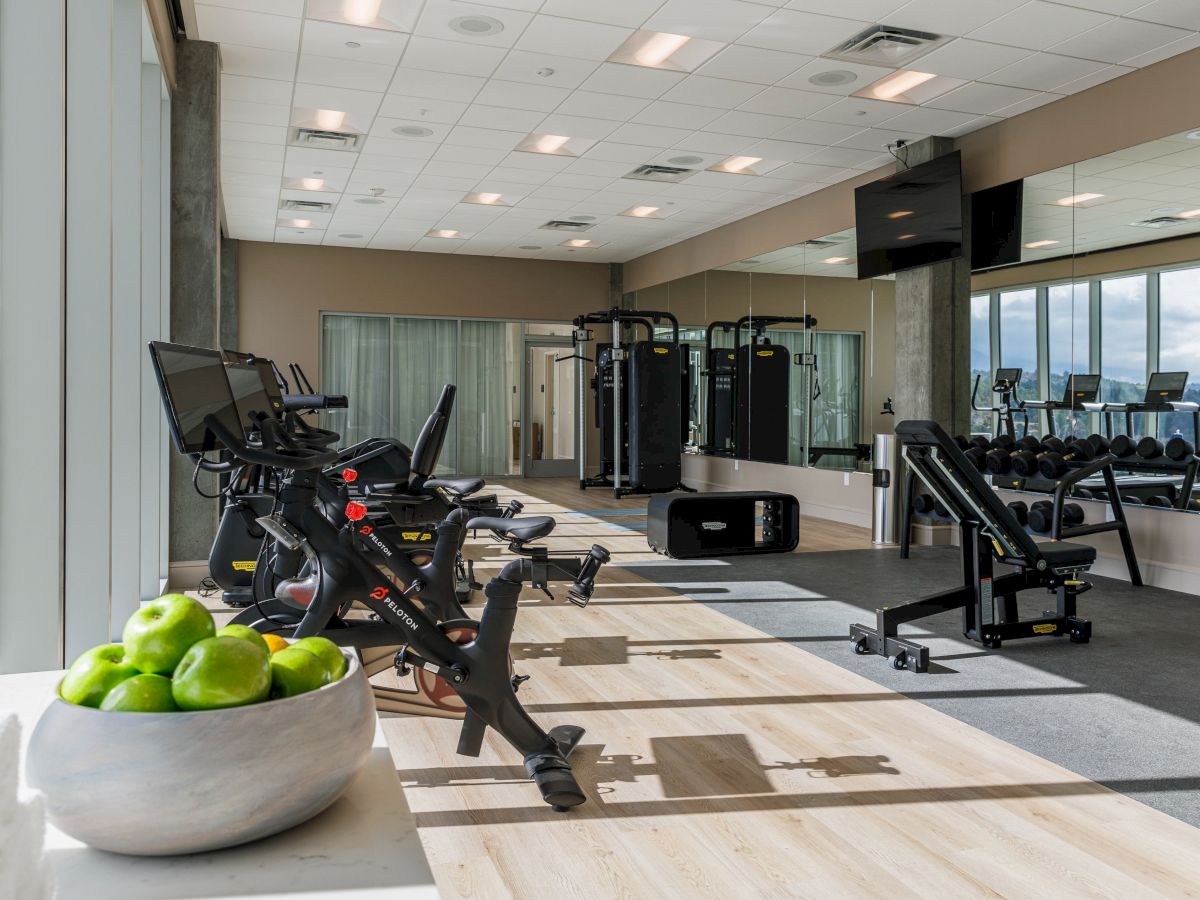 The image shows a modern gym with exercise equipment, weights, and a bowl of green apples on a counter by the window.