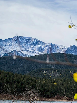 A scenic view of snow-capped mountains, green forest, and a lake, framed by branches with yellow leaves in the foreground.