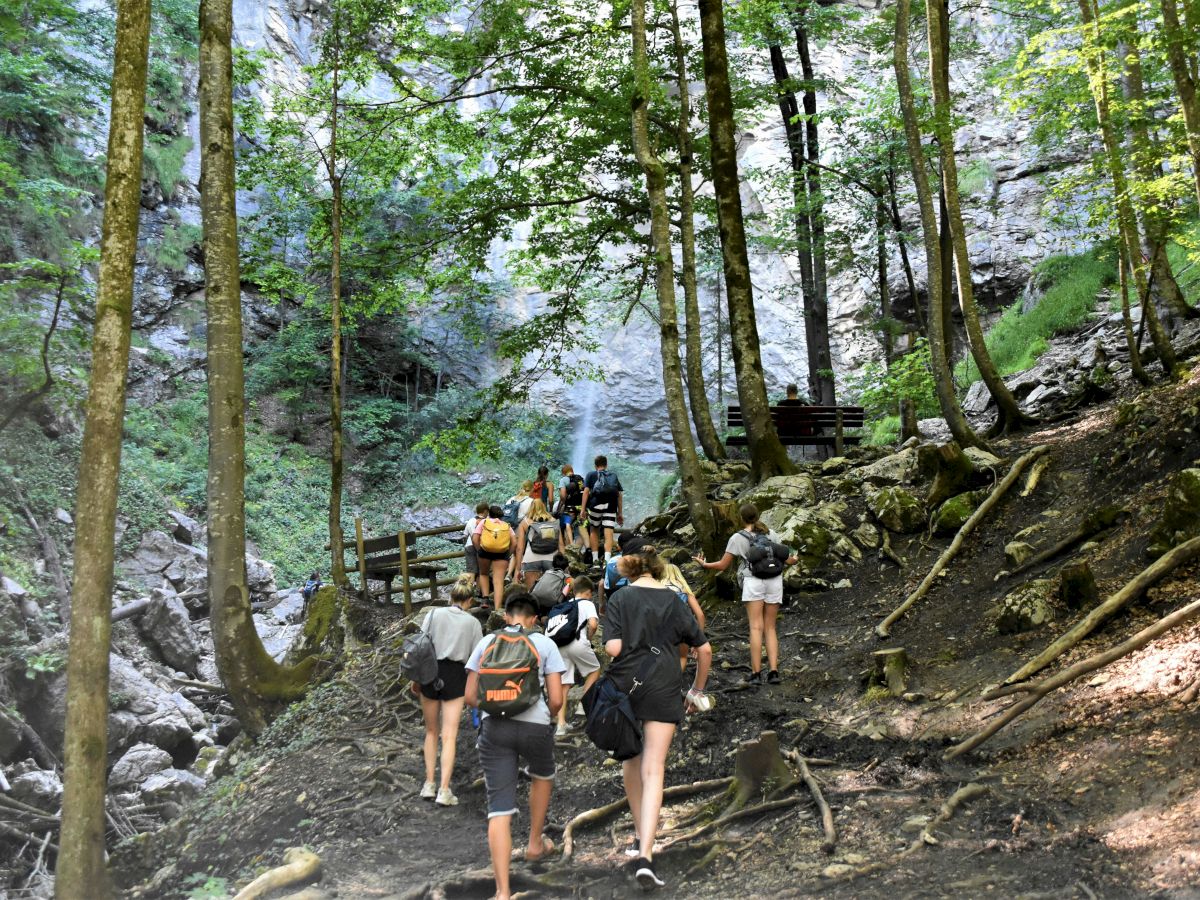 A group of people are hiking on a trail through a forest with trees and rocks surrounding them, heading toward a waterfall.