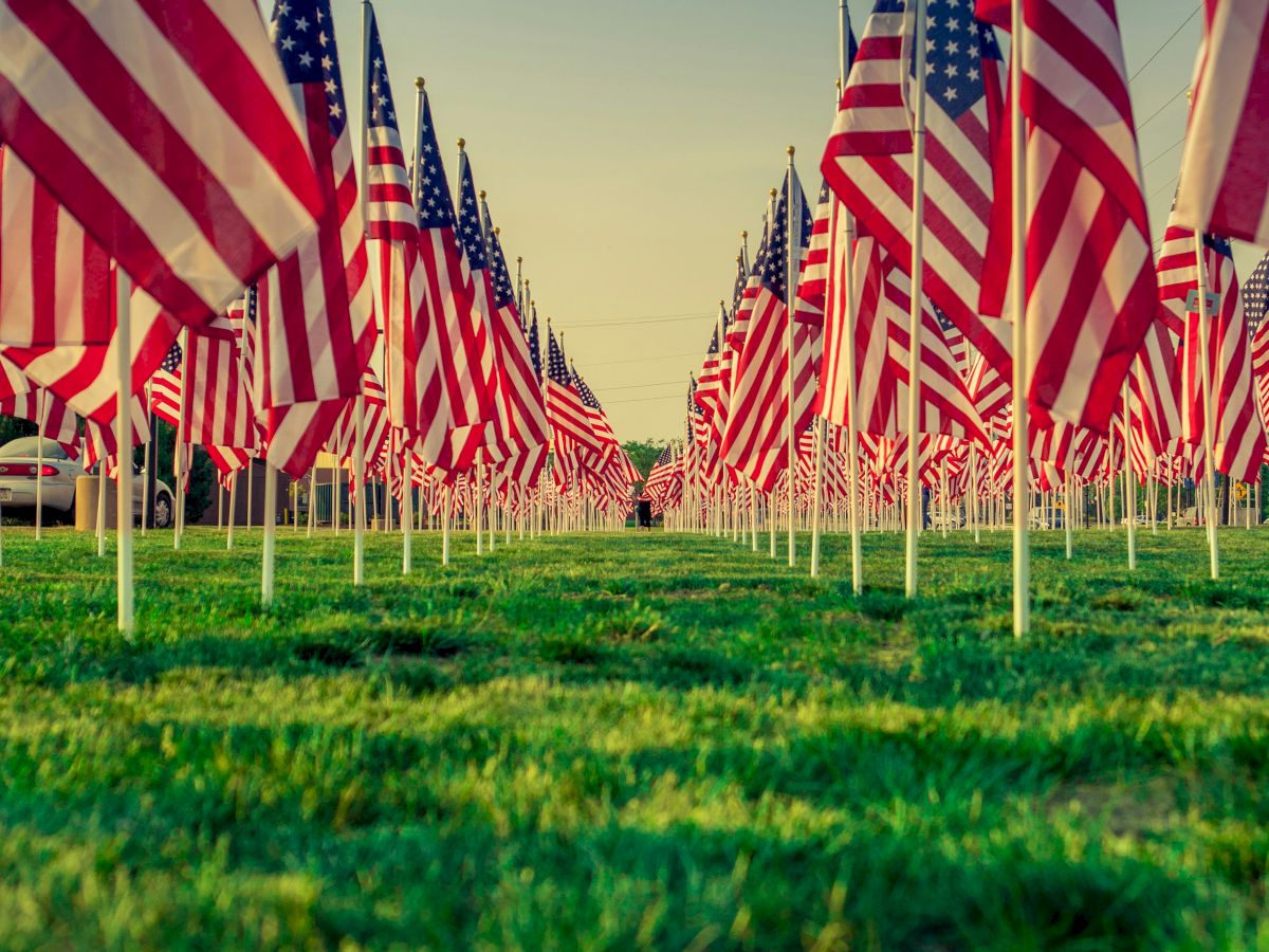 The image shows numerous American flags arranged in rows on a grassy field, with a clear sky in the background.