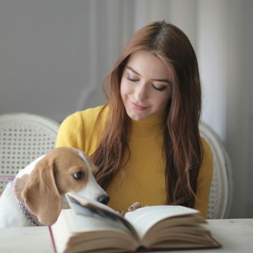 A person with long hair in a yellow sweater sits at a table reading a book, with a beagle dog curiously looking at the book beside them.