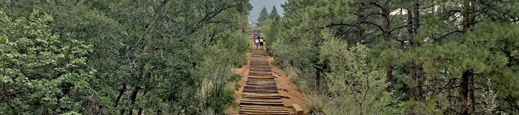 A wooden staircase ascends a forested hill under a cloudy sky, with lush greenery and a few people visible at the distance.